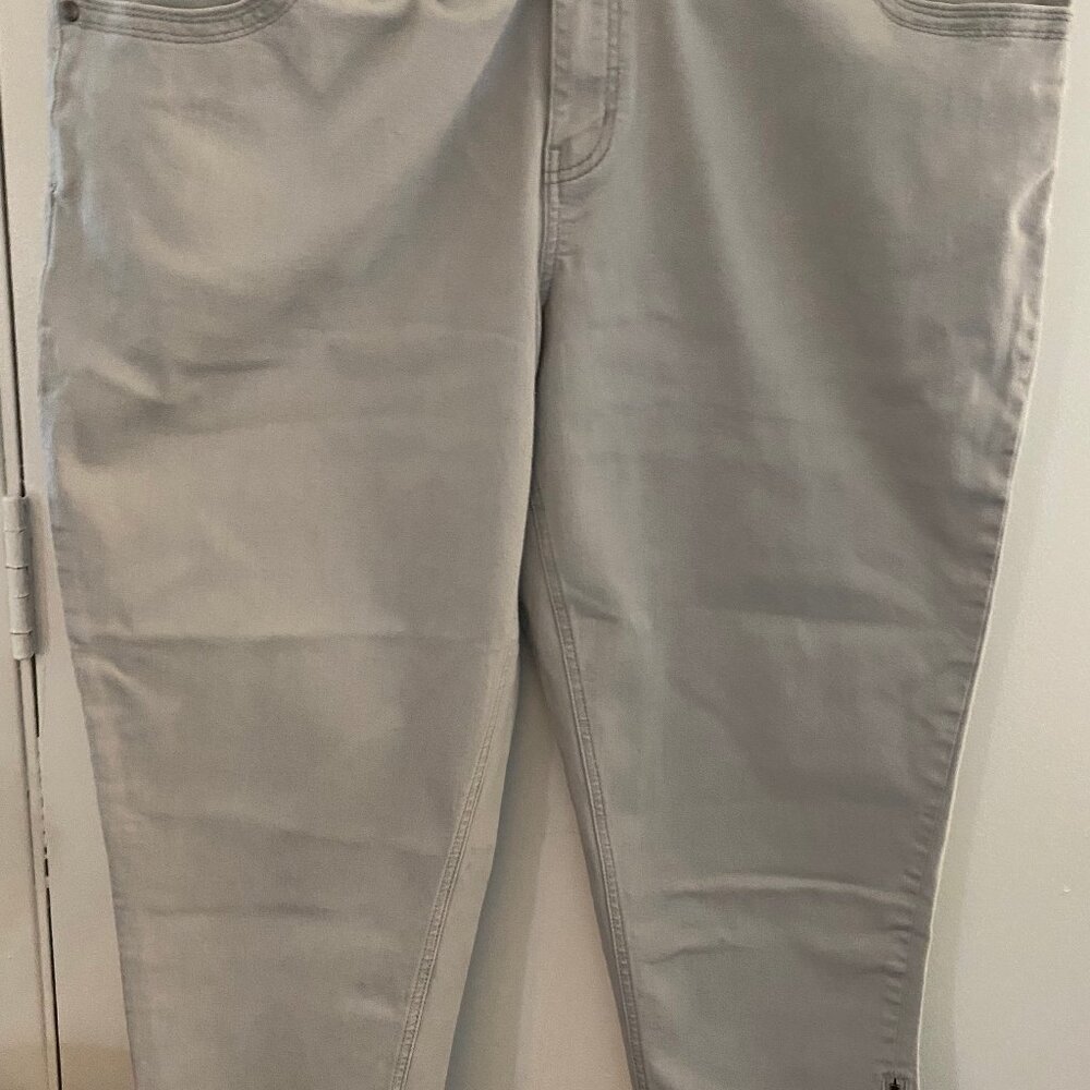 Lane Bryant Skinny Jean
